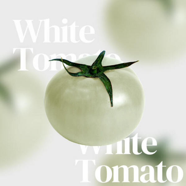 DR. SHU CREATIVE WHITE TOMATO CREAM